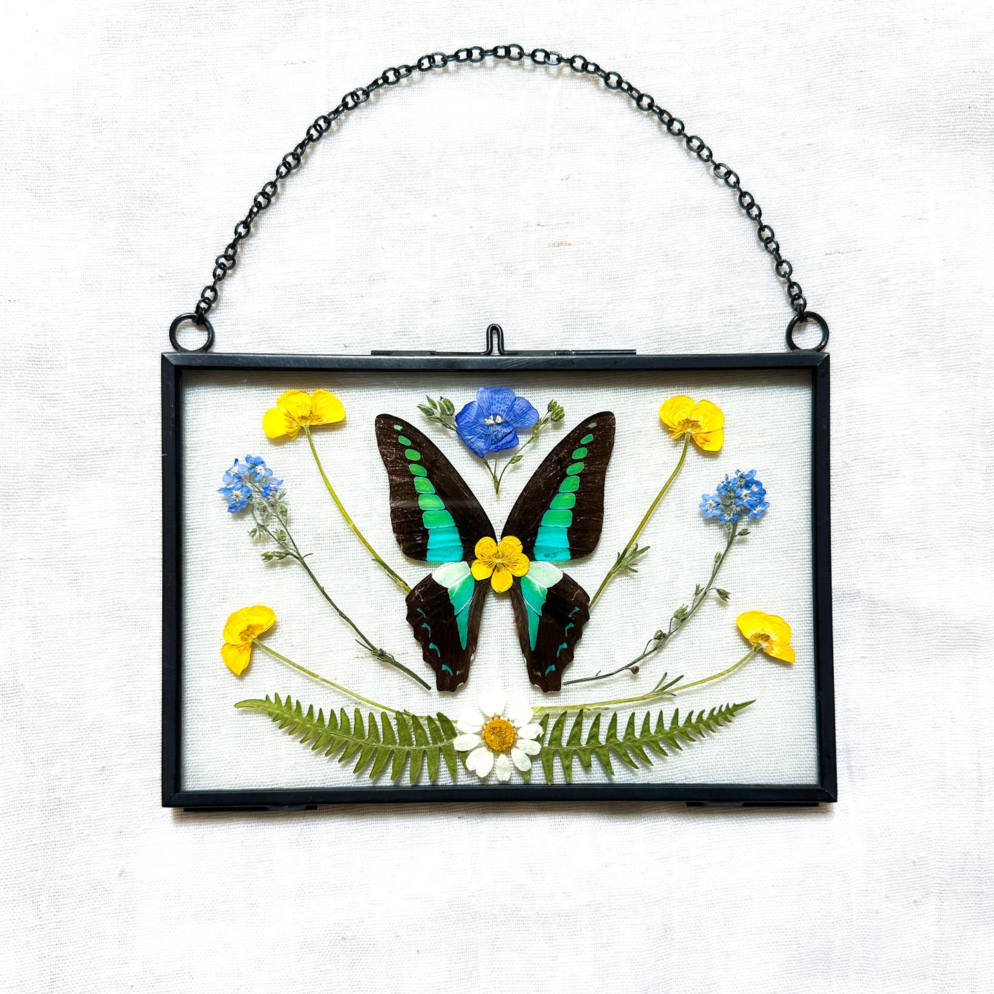 Bluebottle Butterfly Wall Hanging