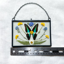 Load image into Gallery viewer, Bluebottle Butterfly Wall Hanging
