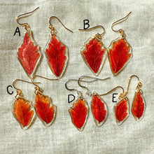 Load image into Gallery viewer, Small red oak leaf earrings
