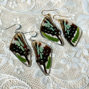 Fern swallowtail wing earrings