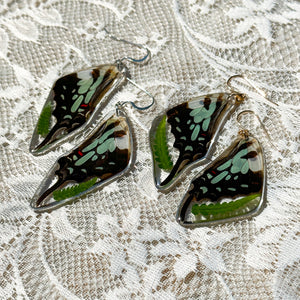 Fern swallowtail wing earrings