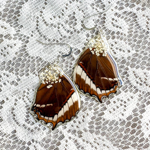 Queen anne's lace brown wing earrings