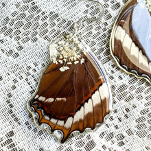 Load image into Gallery viewer, Queen anne&#39;s lace brown wing earrings
