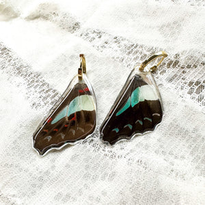 Reversible bluebottle wing earrings