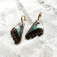 Load image into Gallery viewer, Reversible bluebottle wing earrings

