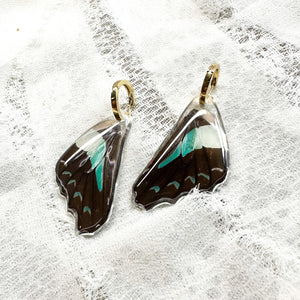 Reversible bluebottle wing earrings