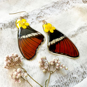Buttercup wing earrings
