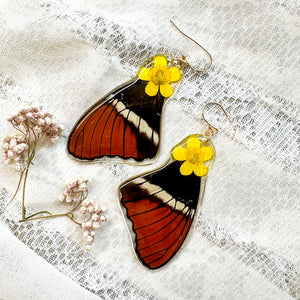 Buttercup wing earrings