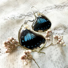 Load image into Gallery viewer, Chokecherry blue wing earrings
