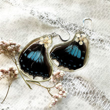 Load image into Gallery viewer, Chokecherry blue wing earrings
