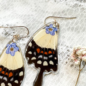 Lime swallowtail wing forget-me-not earrings