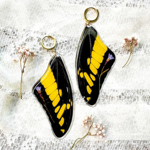 Yellow swallowtail wing earrings