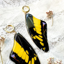 Load image into Gallery viewer, Yellow swallowtail wing earrings
