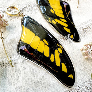 Yellow swallowtail wing earrings