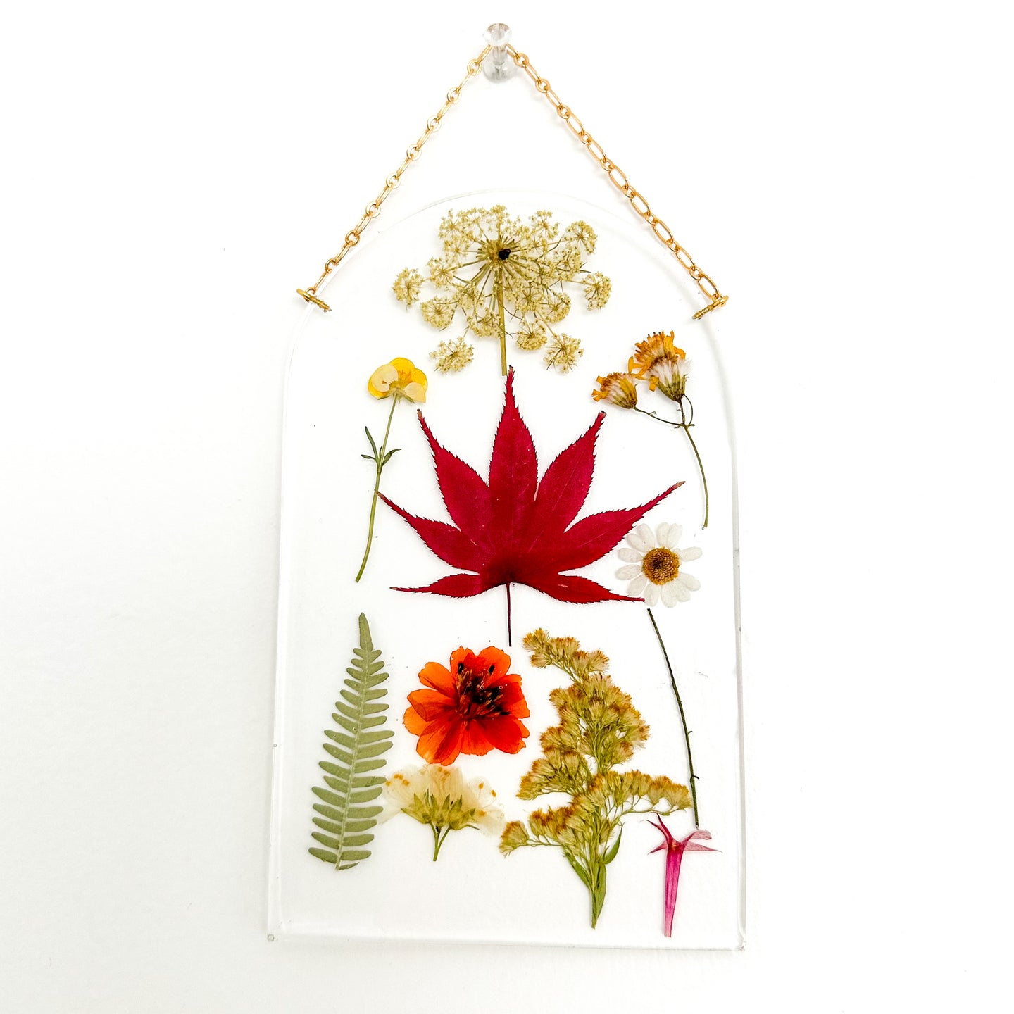 Warm tone botanical chart arch wall hanging *SECONDS*