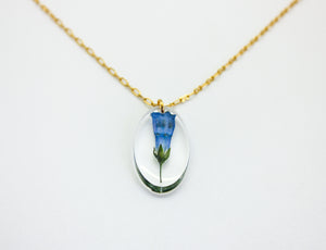 Bluebell oval necklace