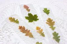 Load image into Gallery viewer, Fall leaves bookmark
