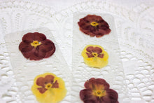Load image into Gallery viewer, Pansy bookmark
