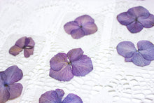 Load image into Gallery viewer, Hydrangea bookmark
