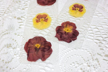 Load image into Gallery viewer, Pansy bookmark
